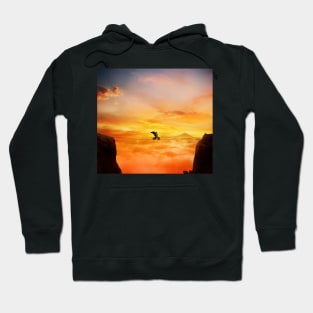 sunset balance Hoodie